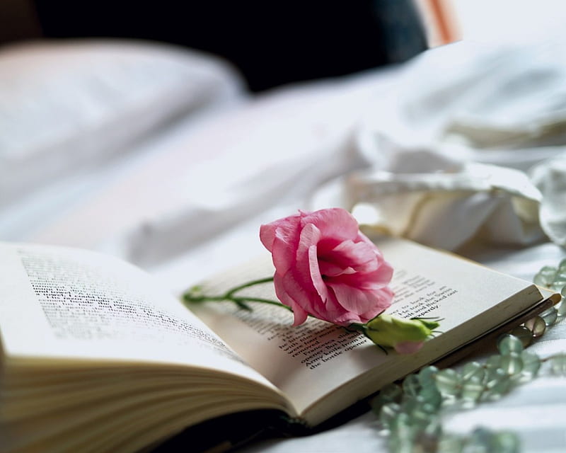 Pink detail, pretty, lovely, detail, book, bookmark, bed, sweet, entertainment, love, siempre, flower, fashion, pink, HD wallpaper
