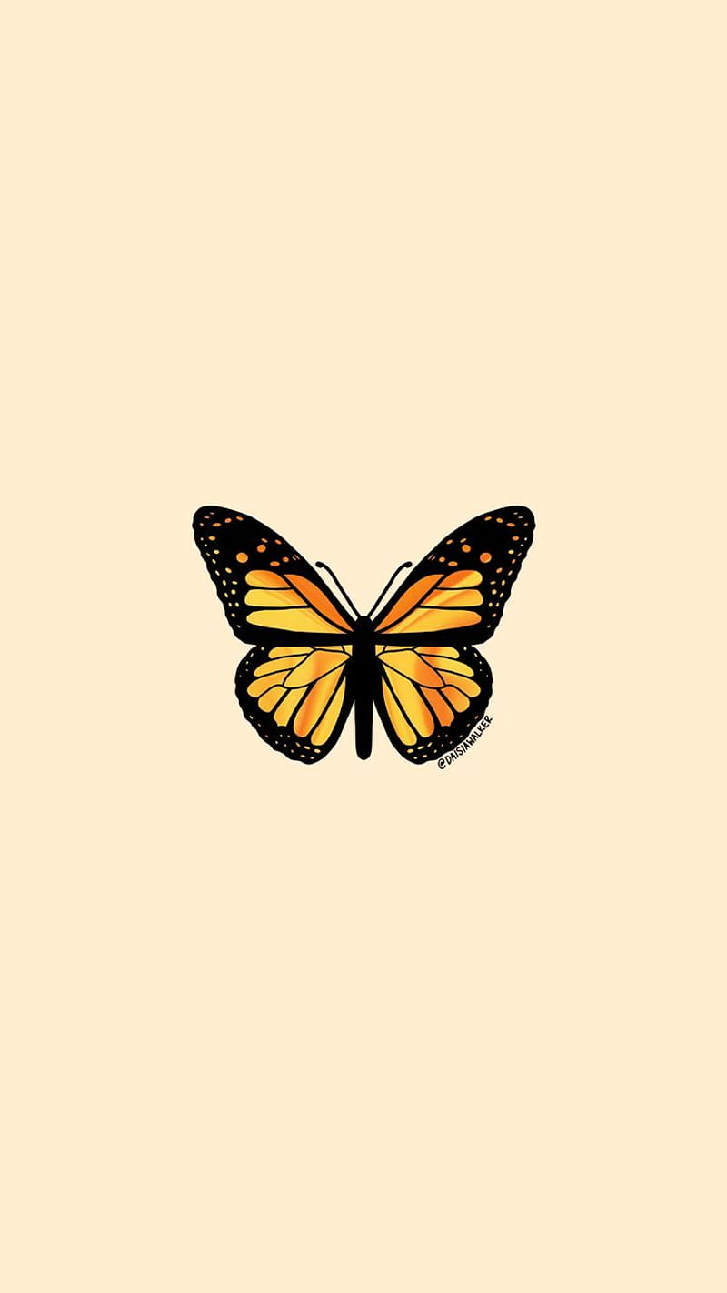 Yellow Orange Butterfly. iPhone yellow, Aesthetic iphone , Butterfly, Small Butterflies, HD phone wallpaper