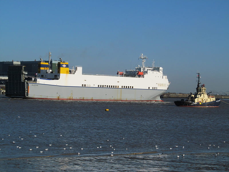 Celestine Cargo Ship, Ships, Cargo, River, Thames, Boats, UK, HD wallpaper