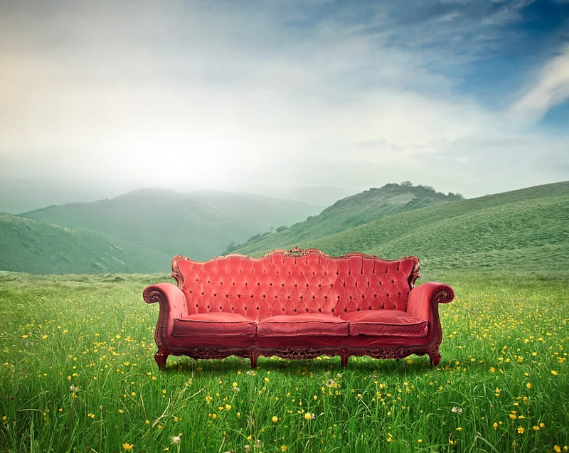 Red sofa, red, sofa, green, field, HD wallpaper