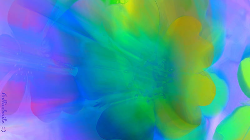 A Sneezing Flower, sneeze, purple, green, flower, sneezing, violet, blue, sneezes, HD wallpaper