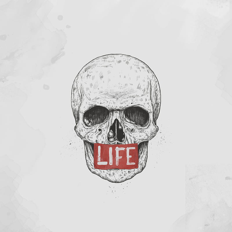 Life, Balazs, drawing, gris, humor, illustration, red, skull, HD phone wallpaper