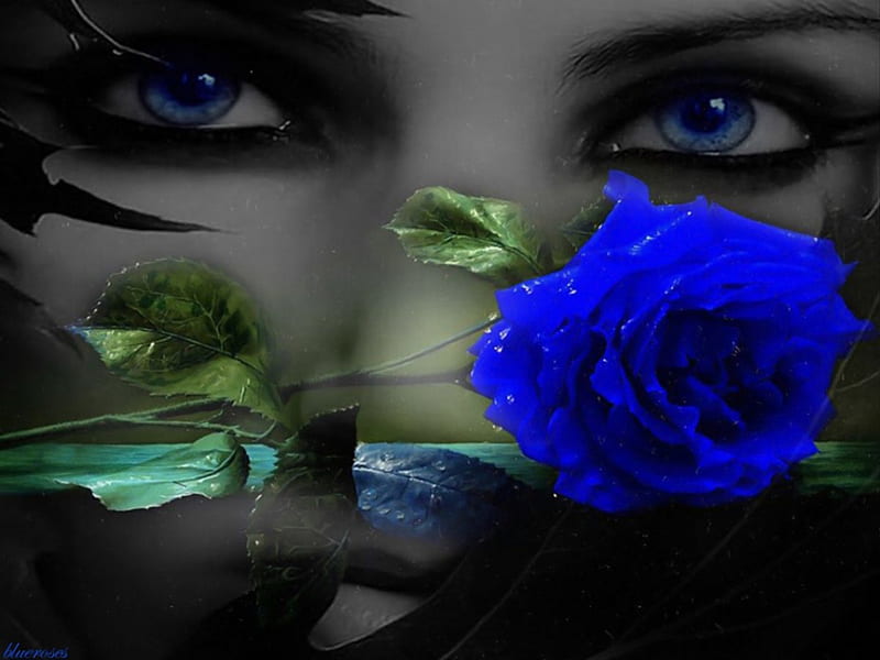 A rose without you..., blue eyes and blue rose, beautiful eyes with rose, sad woman, roses, beautiful face, blue rose, black and white with blue and green color, loneliness, woman with rose, two colours, brunnete blue eyes, blue and grey, HD wallpaper