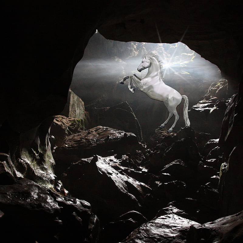 White Horse, cave, cavern, stallion, HD phone wallpaper