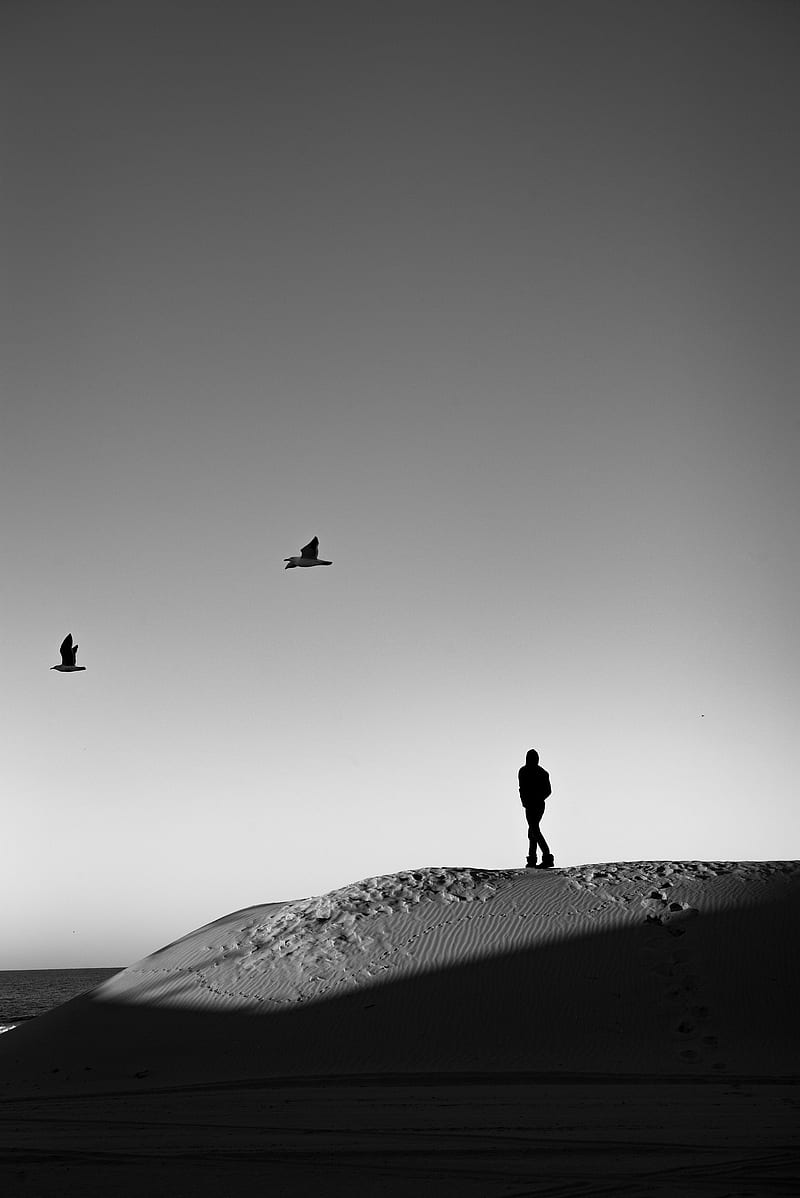 lonely, loneliness, desert, bw, HD phone wallpaper
