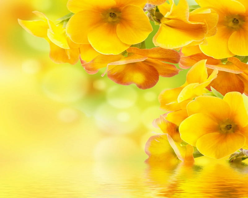 Beautiful flowers, bright, yellow, art, flowers, HD wallpaper