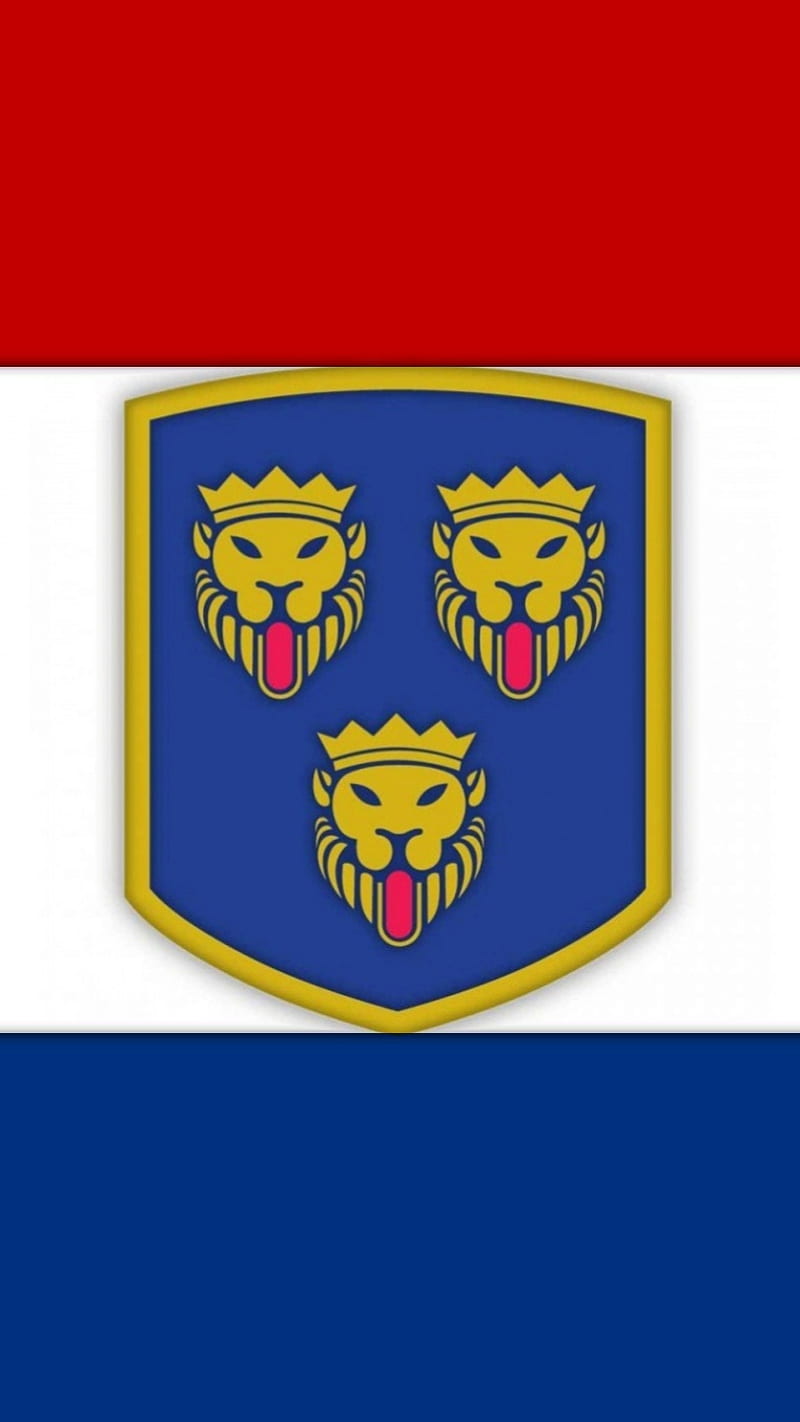 Grb Dalmacije, dalmacija, flag, dalmatia, split, croatia, lion, lions, dubrovnik, trogir, HD phone wallpaper