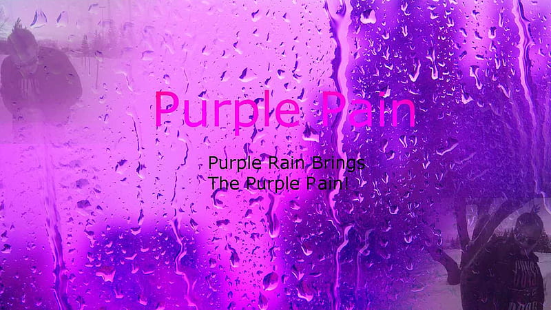 Purple Rain Brings The Purple Pain Purple, HD wallpaper | Peakpx