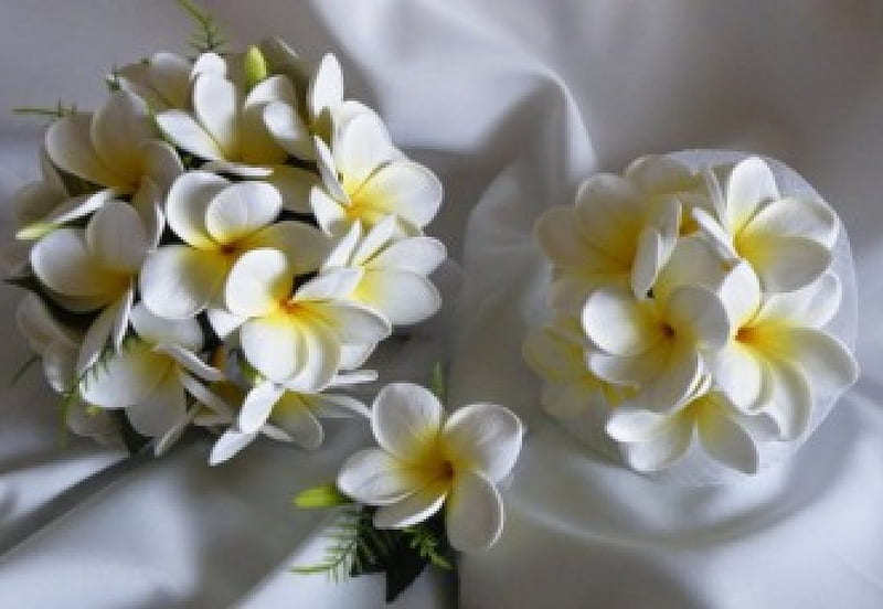 Wedding Bouquet, frangipani, bouquet, plumeria, flowers, wedding, HD wallpaper