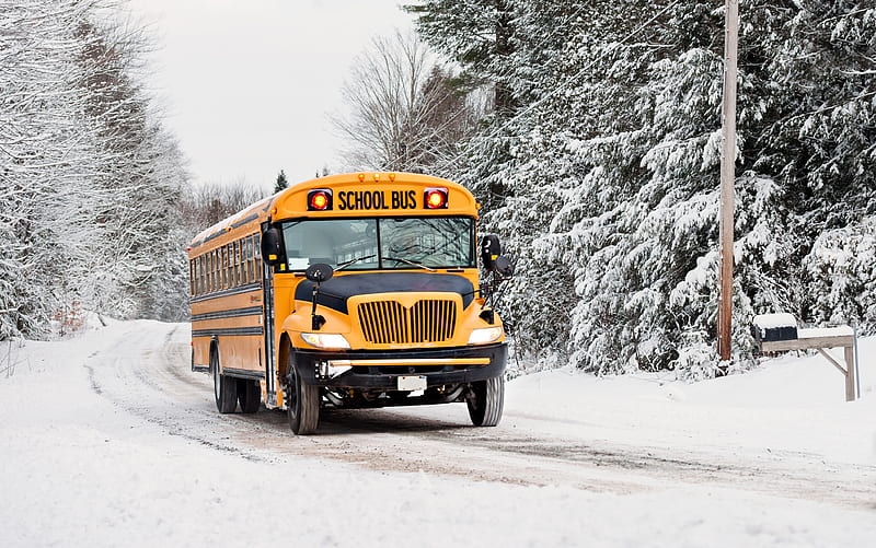 winter school bus, school, tree, snow, winter, bus, HD wallpaper