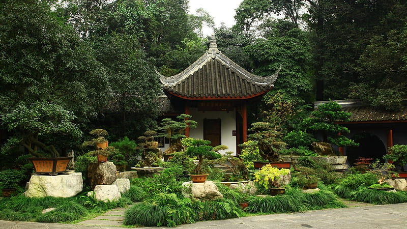 Bonsai Garden, bonsai, tree, japan, japanese, oriental, garden, nature, HD wallpaper