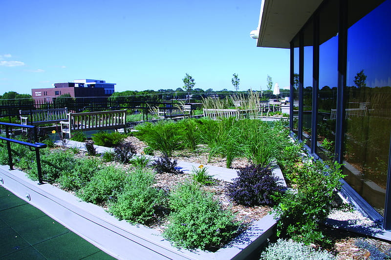 The Neese Memorial Rooftop Garden, 2008 greenroofs calendar, angus young associates, james lindell, green roofs, weston solutions, greengrid, HD wallpaper
