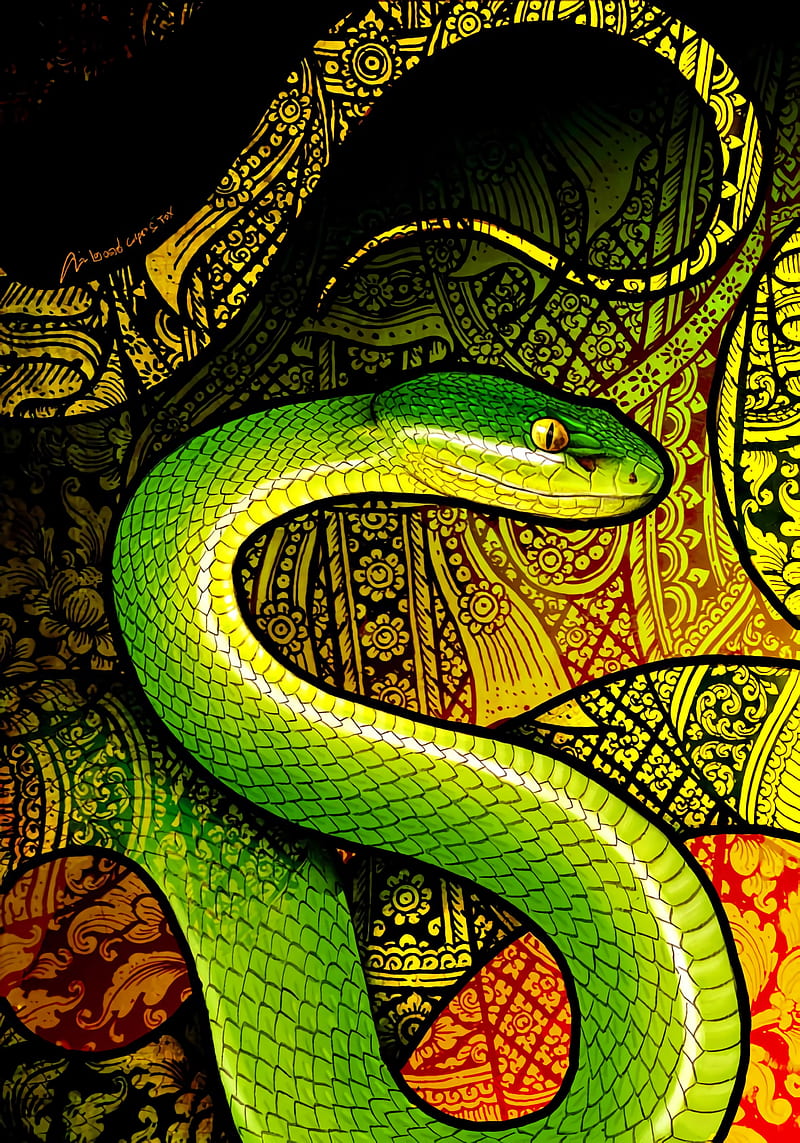 snake, reptile, pattern, art, HD phone wallpaper