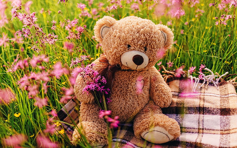 teddy bear, purple flowers, cute animals, bokeh, plush toys, cute bear, teddy bear on plaid, HD wallpaper
