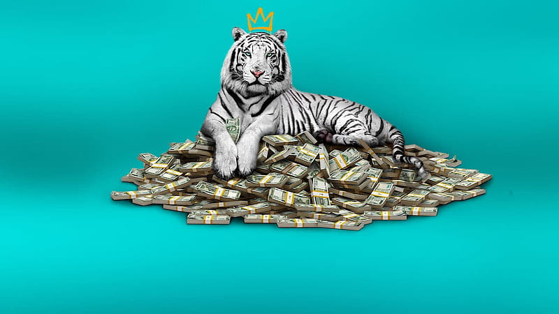 Netflix The White Tiger, HD wallpaper