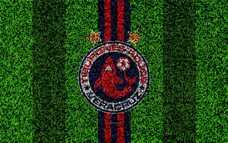 Veracruz FC football lawn, logo, Mexican football club, emblem, red blue lines, Primera Division, Liga MX, grass texture, Veracruz, Mexico, football, Tiburones Rojos de Veracruz, HD wallpaper