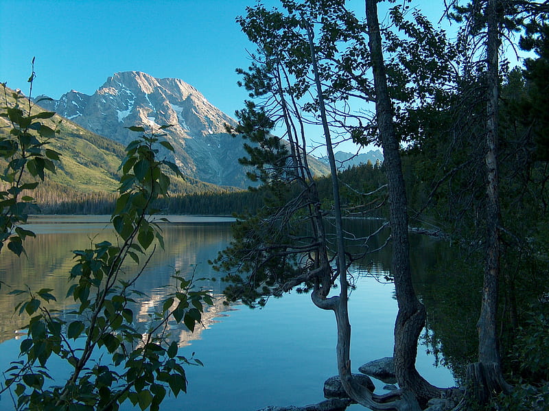 Jenny Lake, grand teton national park, jenny, mountains, bonito, reflection, trees, lake, HD wallpaper