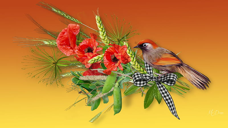 Autumn Poppies and Bird, grass, bird, poppies, flowers, summer, floral, fall, autumn, peas, ribbon, pods, HD wallpaper