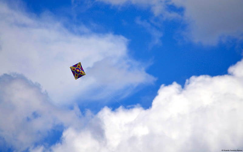 Kite on the blue sky-Windows Theme, HD wallpaper