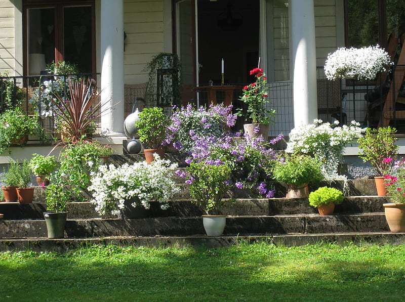 Flourishing Stair, house, pots, stair, grass, summer, flowers, colors, HD wallpaper