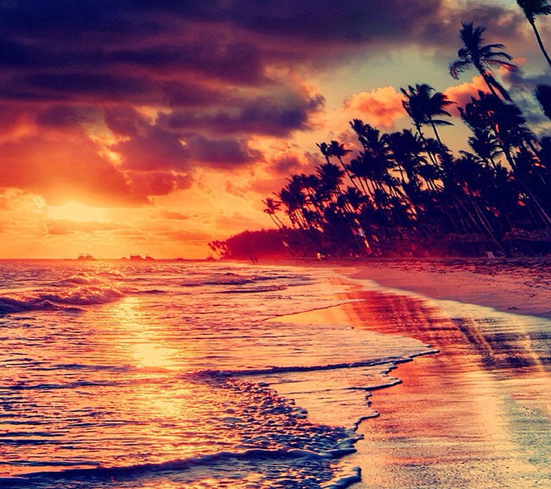 Sunset Beach View, fire, nature, waves, HD wallpaper