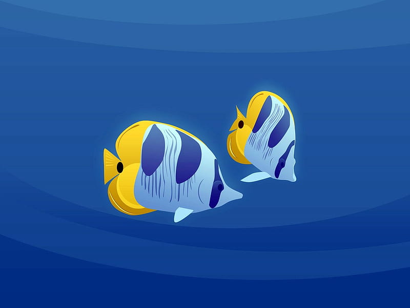Cool Fish Wallpapers  Top Free Cool Fish Backgrounds  WallpaperAccess