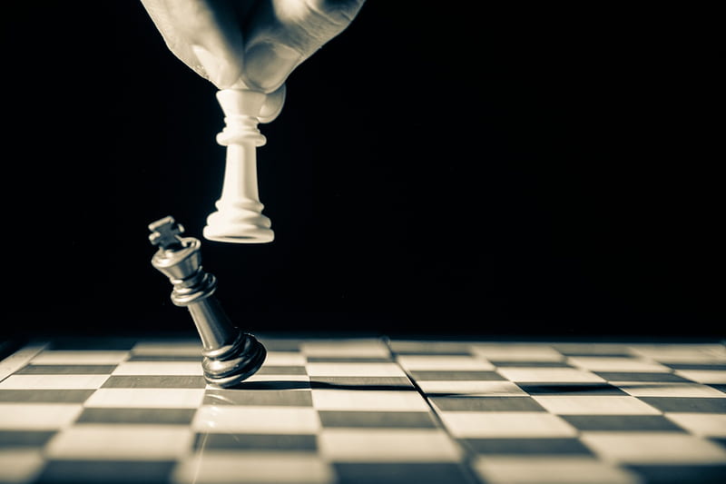 The chess conquered the world - HD wallpaper