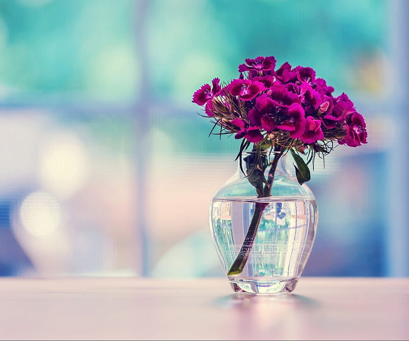 Flowers, glass, purple, vase, HD wallpaper
