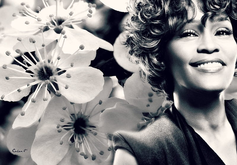 Whitney Houston Wallpapers  Wallpaper Cave