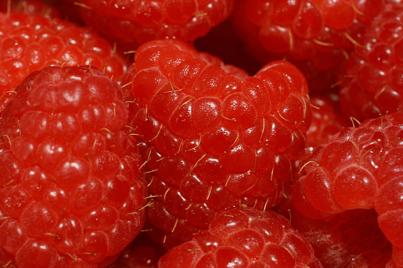 raspberries, berries, macro, red, ripe, HD wallpaper