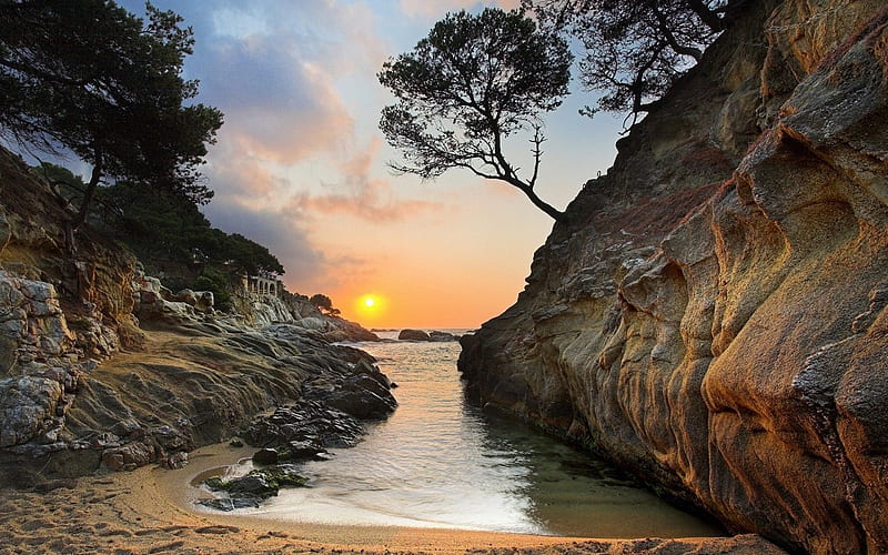 Good Morning, Sunshine, beach, tree, cliff, sunrise, sea, HD wallpaper
