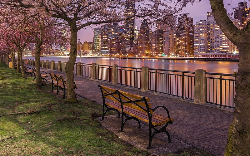 East River Promenade, New York, USA, promenade, benches, evening, river, trees, skyscrapers, HD wallpaper