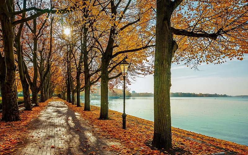 Autumn Promenade, avenue, autumn, trees, alley, lake, HD wallpaper