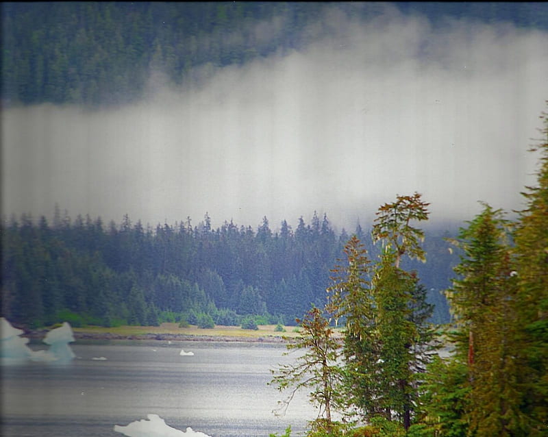 Glacier Bay National Park, Alaska, water, trees, lake, national park, HD wallpaper