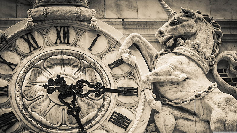 time is money, clock, money, horse, time, HD wallpaper