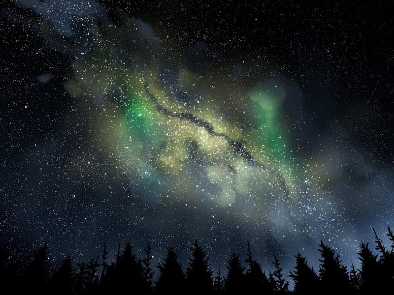 Night Over The Forest, Stars, Night Sky, Woods, Forest, Sky, Anime, Trees, Northern Lights, Anime Sky, Night, HD wallpaper