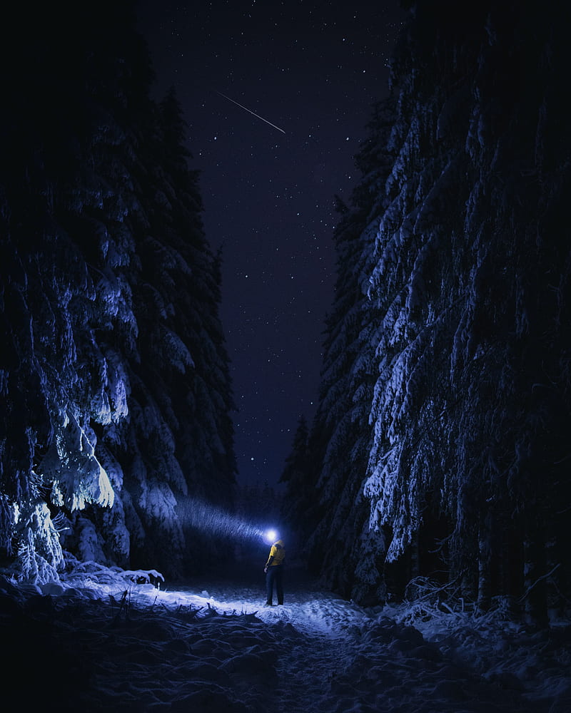 man, flashlight, night, forest, snow, dark, HD phone wallpaper