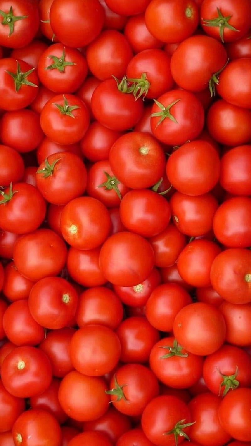 Tomato, vegetable, HD phone wallpaper