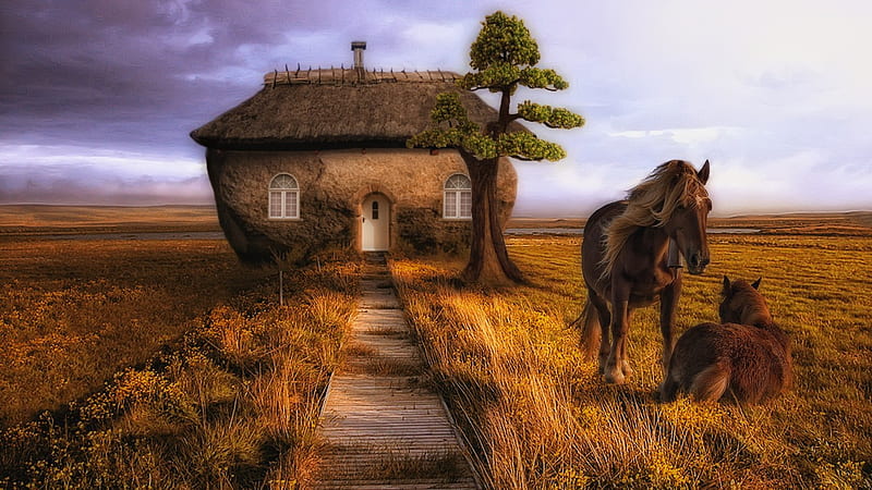 Country farmhouse, house, grass, country, horses, tree, farmhouse, weird, field, sleepy, HD wallpaper
