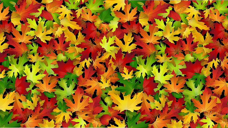 Leaves Fallen, colorful, fall, autumn, leaves, maple, bright, Firefox Persona theme, HD wallpaper