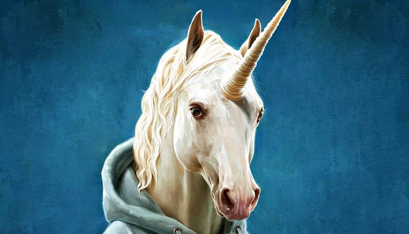Unicorn, fantasy, funny, white, horse, blue, HD wallpaper