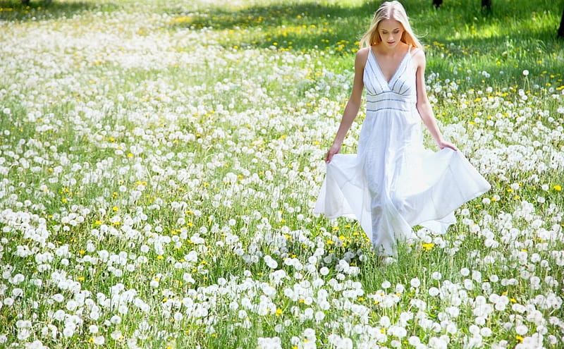 Hermoso D A Flores Modelo Mujer Campo Fondo De Pantalla Hd Peakpx