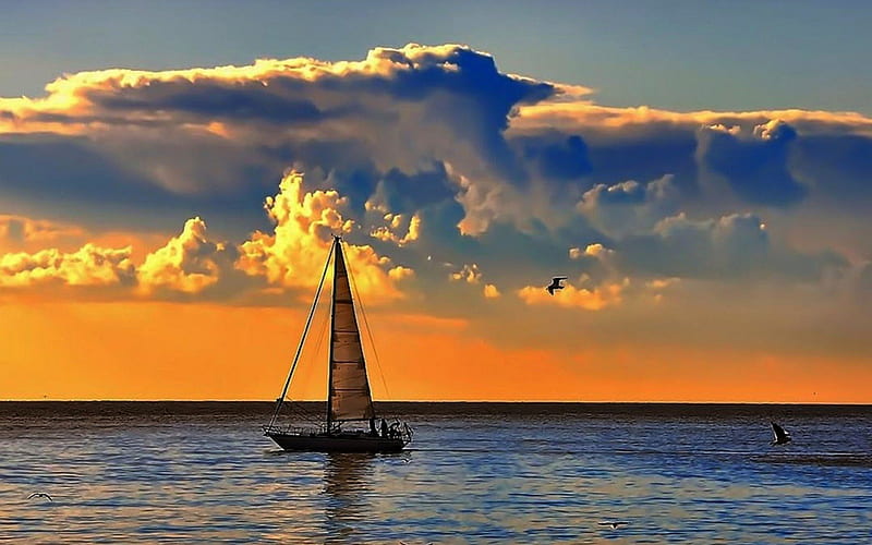 Sailing, ocean, sunset, sailboat, sky, seagulls, sea, HD wallpaper
