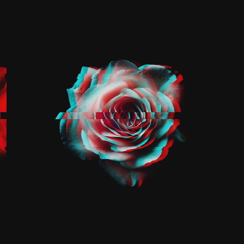 Glitch Rose, dark aesthetic, dark glitch, dark rose, dark , flower, glitch aesthetic, glitch , ninjapickles, rose, rose, HD phone wallpaper