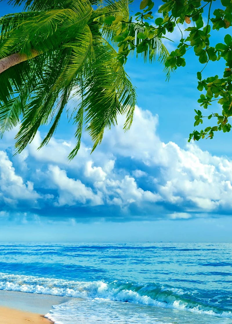 Playa hermosa, Fondo de pantalla de teléfono HD | Peakpx