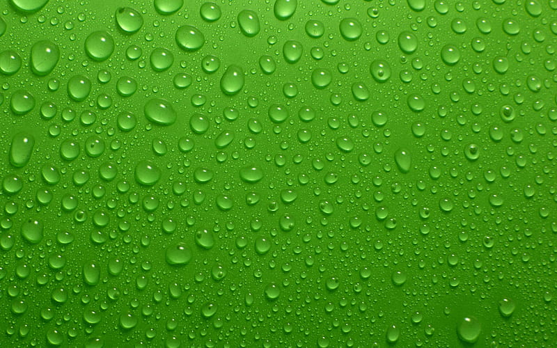 Green water drops, pretty, lovely, drop, clear, bonito, drops, abstract, sweet, drops of water, graphy, nice, water, green, beauty, other, HD wallpaper