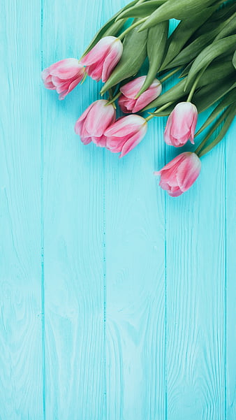 Những đóa hoa tulip hồng tuyệt đẹp nằm trong khung cảnh tràn đầy sức sống và màu sắc tươi tắn, chắc chắn sẽ khiến bạn say đắm.