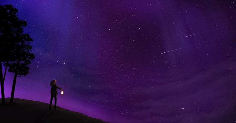 Shooting stars, art, purple, night, HD wallpaper