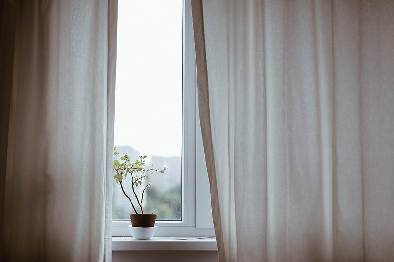 potted plant on window with curtain, HD wallpaper