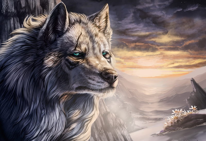 Wolf, painting, scar, animal, HD wallpaper